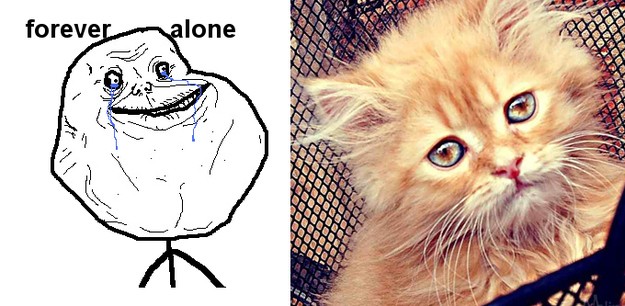 Thảm thương kiếp FA (forever alone).